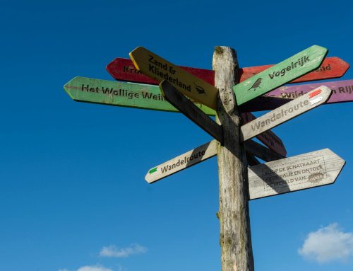 7 clés pour choisir une orientation scolaire personnalisée : votre alternative aux conseillers d&rsquo;orientation traditionnels