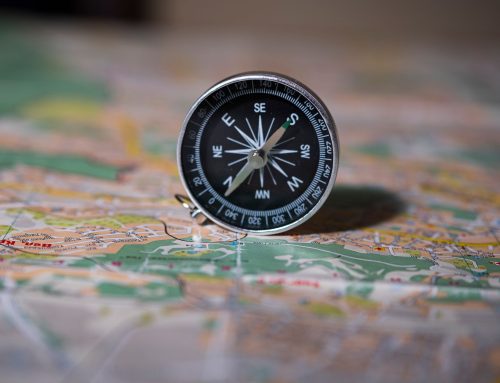Orientation post-bac métiers environnement : 8 filières d&rsquo;avenir pour la transition écologique
