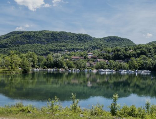 Secteurs qui recrutent en Auvergne Rhône-Alpes : les opportunités à saisir pour votre reconversion