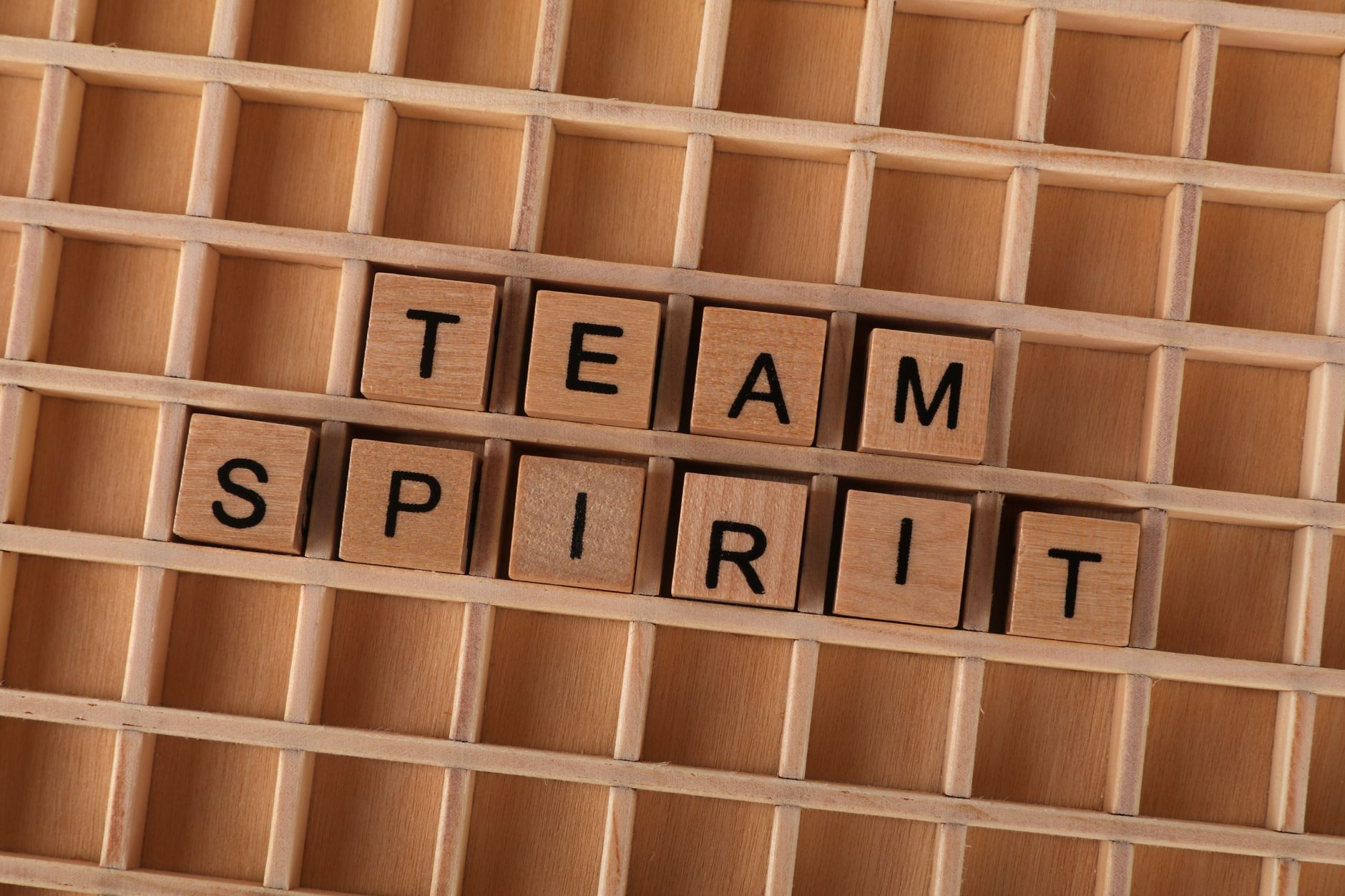 leadership management developpement 1783058618